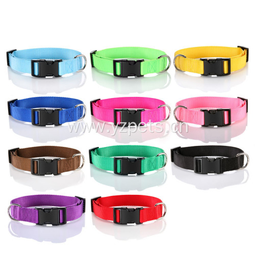 Colorful Nylon Dog Collar